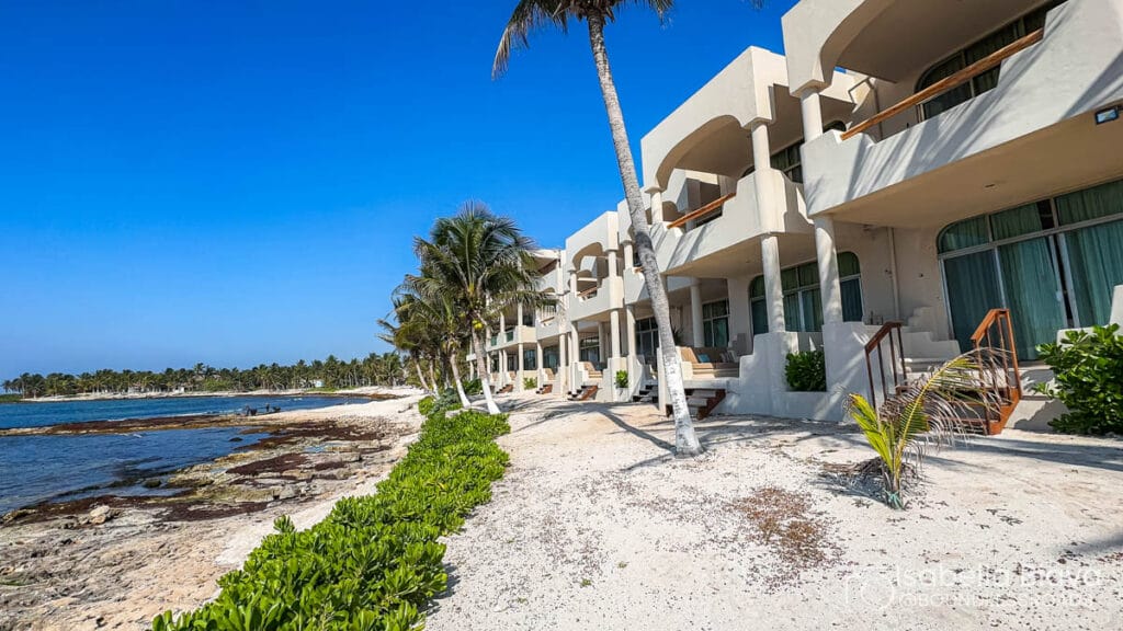 Beachfront hotel with white balconies, overlooking a sandy shore and clear blue ocean. Palm trees line the landscape under a bright, cloudless sky.