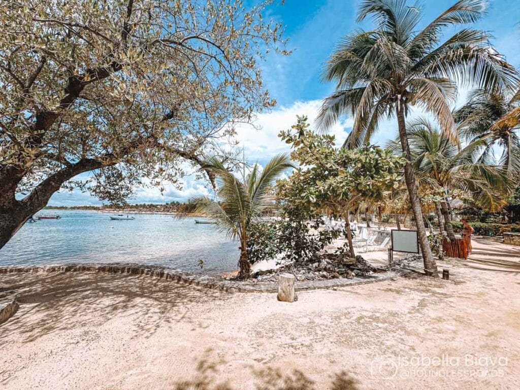 A tranquil beach scene with palm trees and clear blue water under a sunny sky. No recognizable landmarks or historical buildings are present.