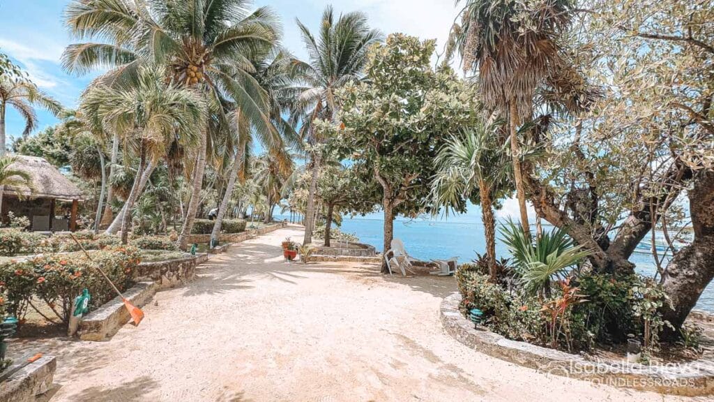 A sunny pathway lined with palm trees leads to the ocean, with a person relaxing on a bench by a tropical beach.