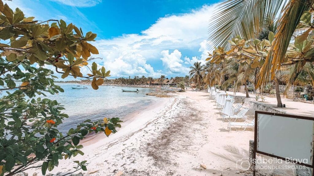 Tropical beach scene with palm trees and clear sky. Empty lounge chairs line the sandy shore near calm ocean waters, conveying a serene vacation vibe.