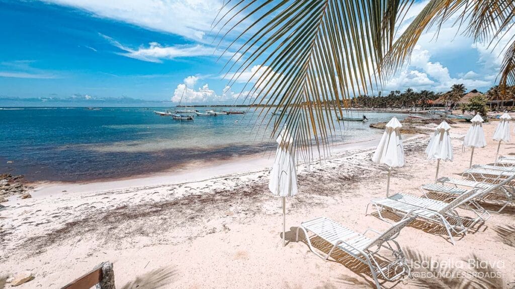 White sandy beach with lounge chairs and umbrellas under swaying palm fronds. Calm blue sea stretches to the horizon under a vibrant, sunny sky.