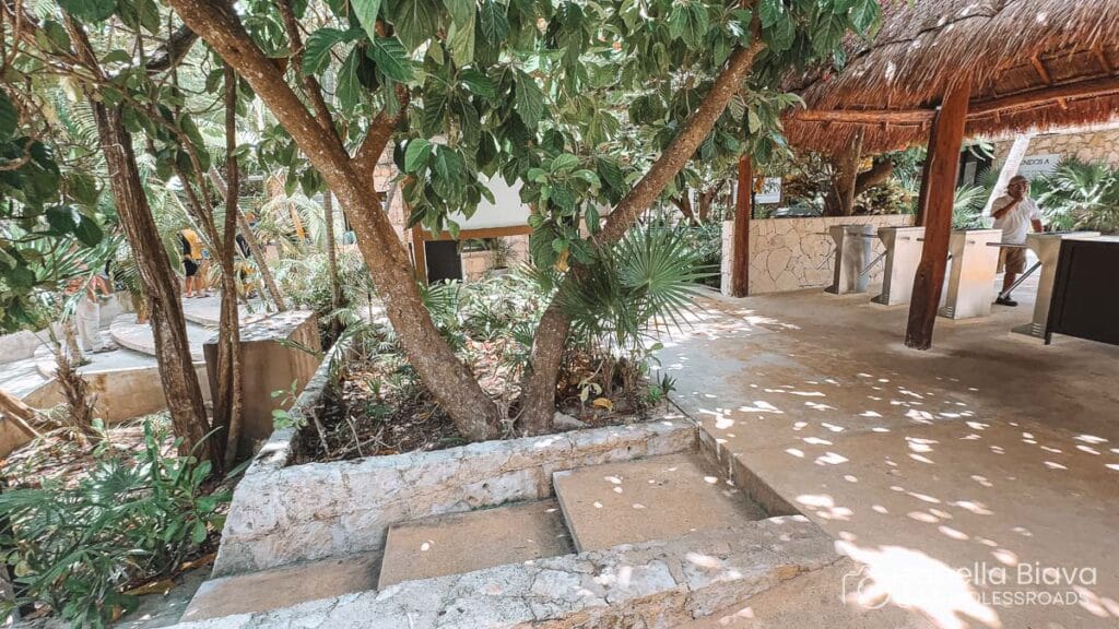 Outdoor space with stone steps and lush greenery. A person is near a thatched-roof structure. Natural light creates dappled shadows.