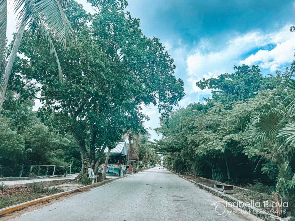 A tree-lined, empty road with lush greenery and a small structure to the left under a partly cloudy sky.