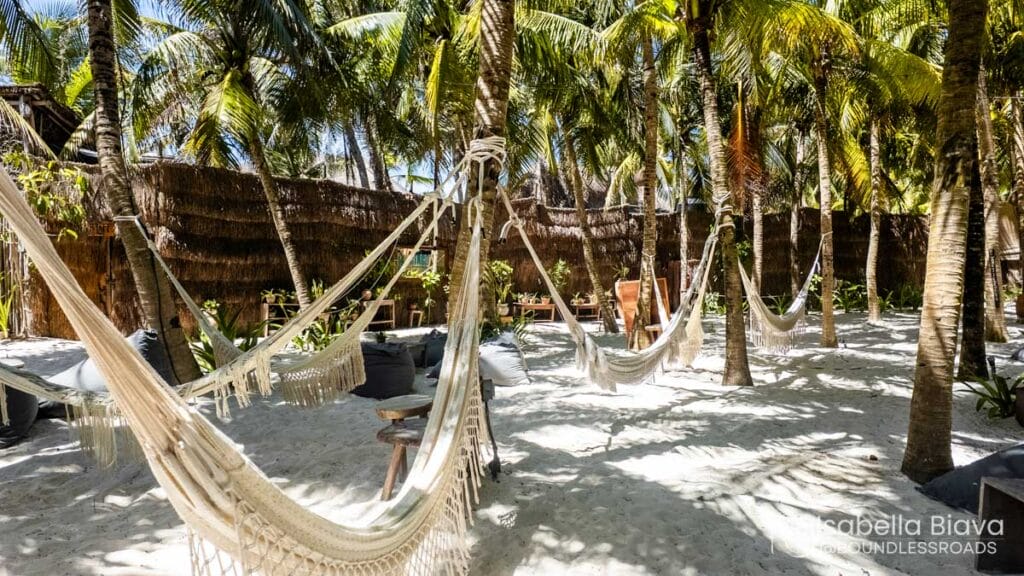 Sandy beach setting with multiple hammocks strung between palm trees, surrounded by tropical foliage. Relaxed tropical ambiance with natural sunlit environment.